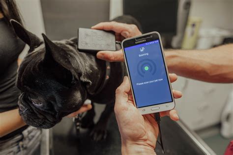 can you track your rfid chipped pet|find lost pets by microchip.